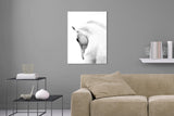 Aufgehängtes Wandbild einer Fotografie von einem weißen Pferde Kopf. Fotokunst online kaufen. Hinter Acrylglas oder als Poster