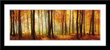 Panorama Fotografie eines Buchenwaldes bei Herbst. Fotokunst online kaufen. Im Rahmen