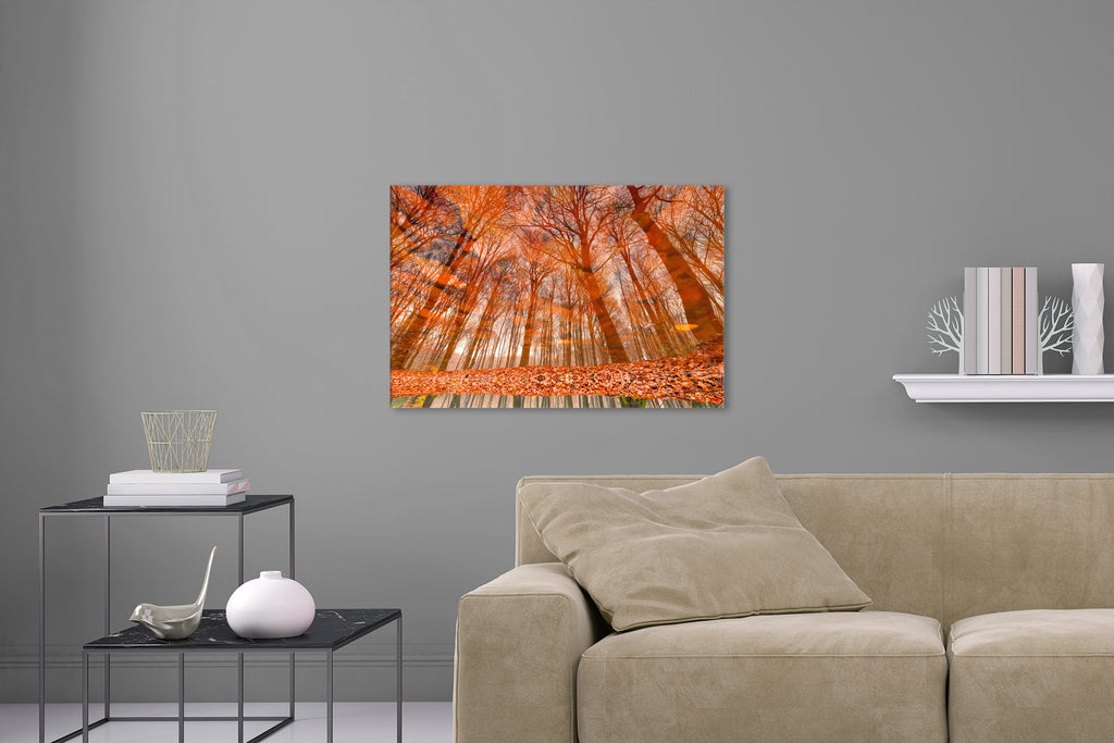 Aufgehängtes Wandbild einer Fotografie eines herbstlichen Waldes der sich im Wasser spiegelt. Fotokunst online kaufen. Hinter Acrylglas oder als Poster