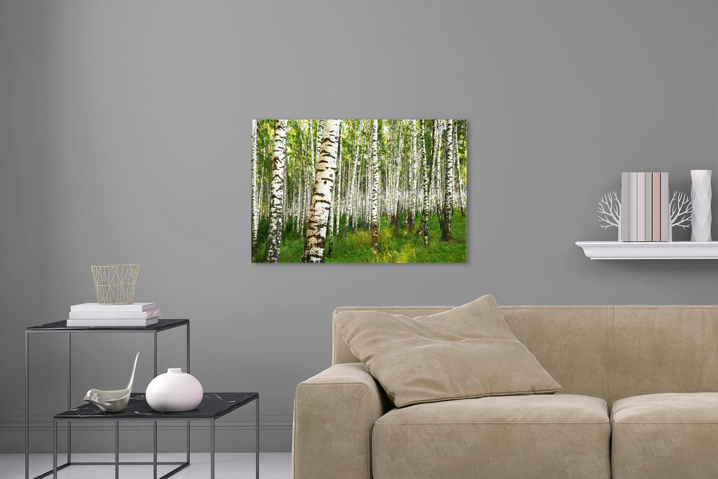 Aufgehängtes Wandbild einer Fotografie eines Birkenwalds. Fotokunst online kaufen. Hinter Acrylglas oder als Poster