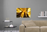 Aufgehängtes Wandbild einer Fotografie eines gelben Blätterdachs. Fotokunst online kaufen. Hinter Acrylglas oder als Poster