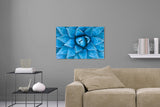 Aufgehängtes Wandbild einer Fotografie einer blauen Agave Pflanze. Fotokunst online kaufen. Hinter Acrylglas oder als Poster