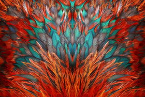 Abstrakte Fotografie von roten und grünen Federn. Fotokunst online kaufen. Wandbild hinter Acrylglas oder als Poster