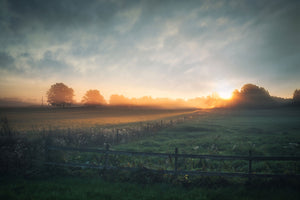 Natur Fotografie von einem Feld mit Nebel bei Sonnenaufgang. Fotokunst online kaufen. Wandbild hinter Acrylglas oder als Poster