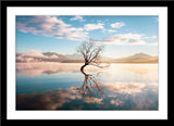 Natur Fotografie eines Baums im Lake Wanaka. Fotokunst online kaufen. Wandbild im Rahmen.