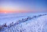 Natur Fotografie einer gefrorenen Landschaft im Schnee bei Sonnenuntergang. Fotokunst online kaufen. Wandbild hinter Acrylglas oder als Poster