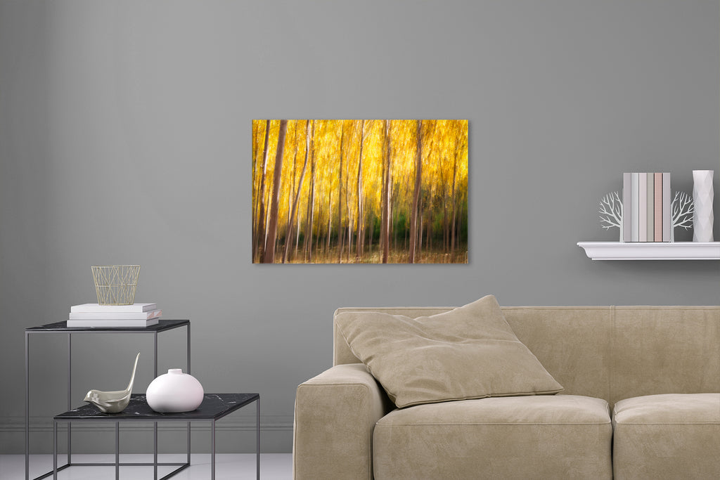 Aufgehängte Abstrakte Natur Fotografie von einem Wald mit gelben Blättern. Fotokunst online kaufen. Wandbild hinter Acrylglas oder als Poster