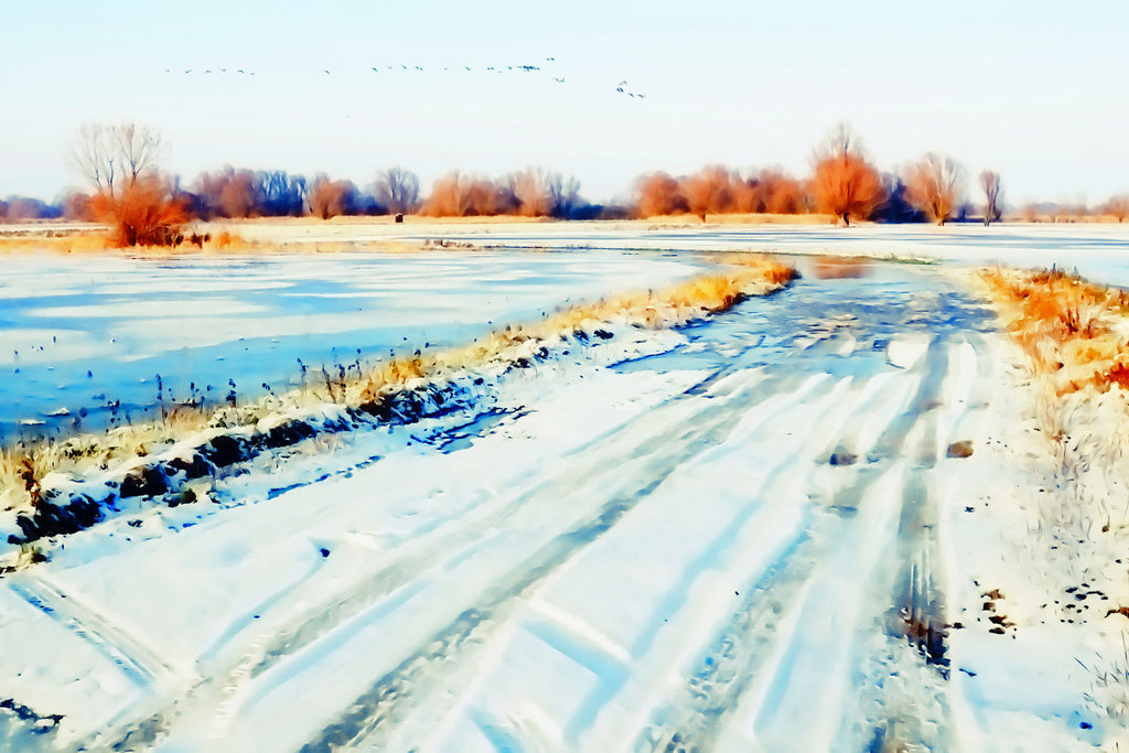 Landschafts Fotografie mit fliegenden Vögeln im Winter. Fotokunst und Bilder online kaufen. Wandbild hinter Acrylglas oder als Poster
