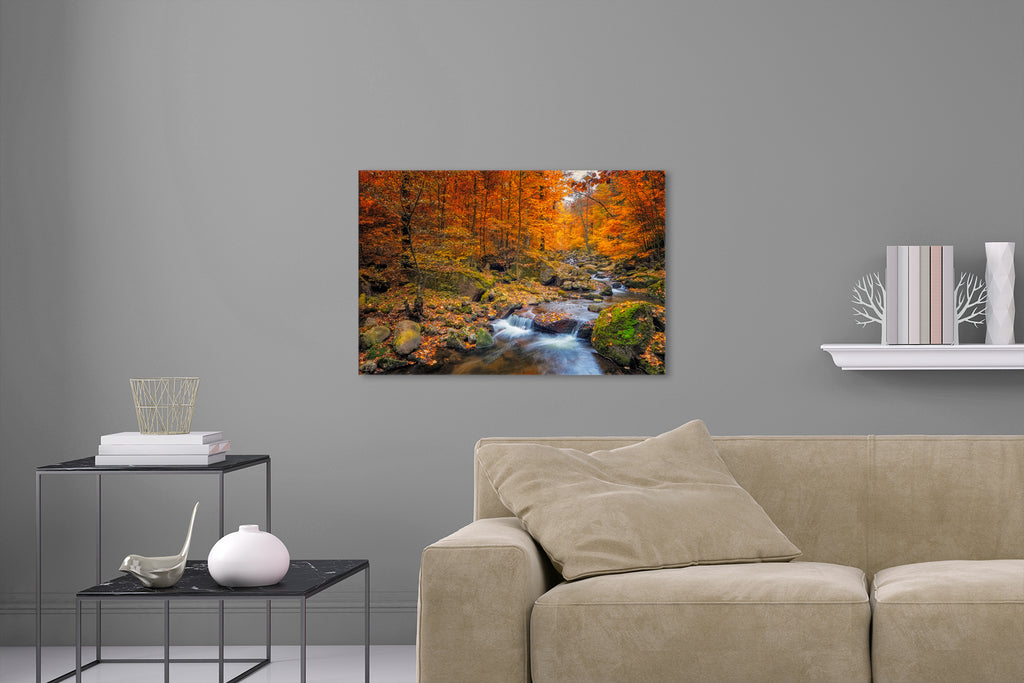 Aufgehängte Landschafts Natur Fotografie von einem Fluss im Wald im Herbst. Fotokunst und Bilder online kaufen. Wandbild hinter Acrylglas oder als Poster