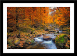 Landschafts Natur Fotografie von einem Fluss im Wald im Herbst. Fotokunst und Bilder online kaufen. Wandbild im Rahmen
