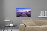 Aufgehängte Landschafts Natur Fotografie von einem Lavendel Feld bei Sonnenuntergang. Fotokunst und Bilder online kaufen. Wandbild hinter Acrylglas oder als Poster