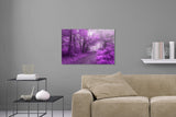 Aufgehängte Infrarot Landschafts Natur Fotografie von einem Wald mit Nebel. Fotokunst und Bilder online kaufen. Wandbild hinter Acrylglas oder als Poster
