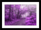 Infrarot Landschafts Natur Fotografie von einem Wald mit Nebel. Fotokunst und Bilder online kaufen. Wandbild im Rahmen