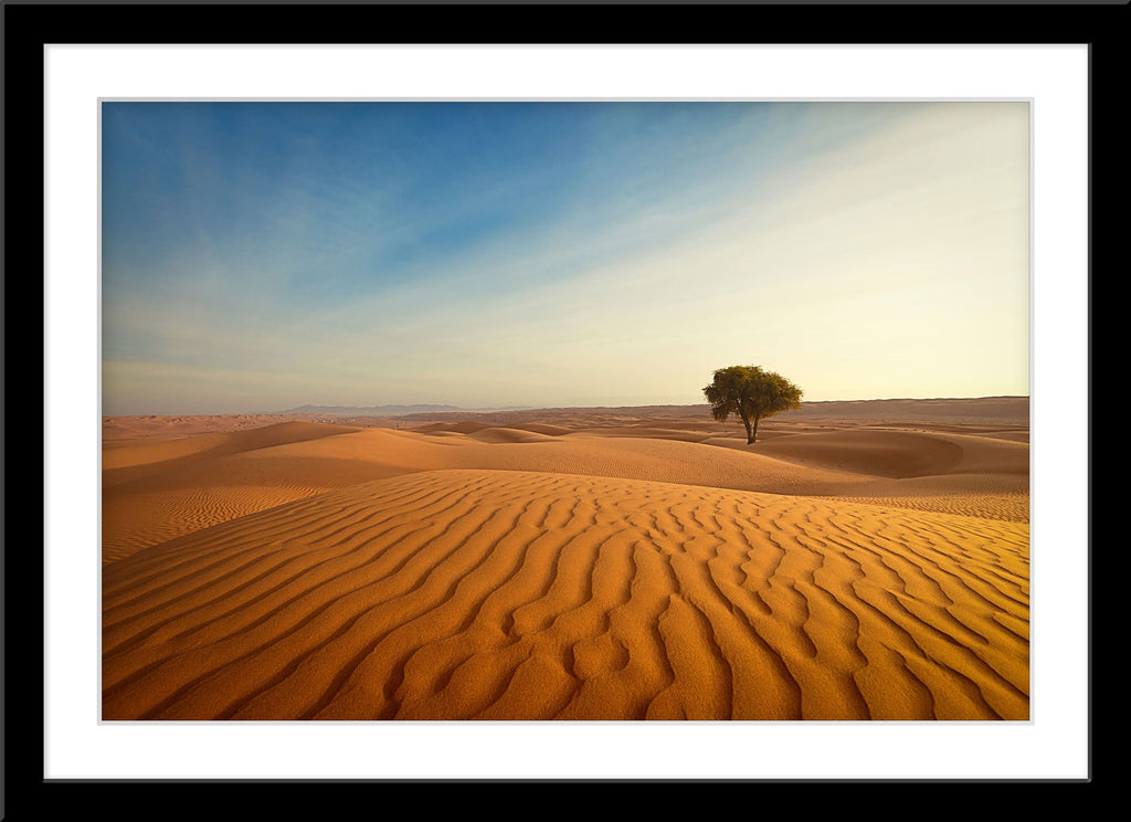 Landschafts Natur Fotografie von einem einzelnen Baum in der Wüste. Fotokunst und Bilder online kaufen. Wandbild im Rahmen