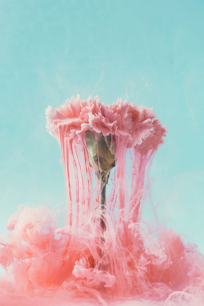 Abstrakte Natur Fotografie einer schmelzenden rosa Blume vor Türkisen Hintergrund. Fotokunst und Bilder online kaufen. Wandbild hinter Acrylglas oder als Poster