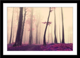 Infrarot Natur Landschafts Fotografie von einem Wald im Nebel. Fotokunst und Bilder online kaufen. Wandbild im Rahmen