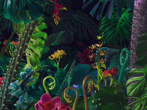 Abstrakte Natur Fotografie Komposing von verschiedenen Pflanzen, die einen Dschungel bilden. Fotokunst und Bilder online kaufen. Wandbild hinter Acrylglas oder als Poster