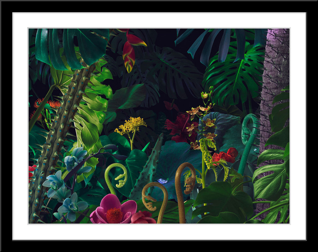 Abstrakte Natur Fotografie Komposing von verschiedenen Pflanzen, die einen Dschungel bilden. Fotokunst und Bilder online kaufen. Wandbild im Rahmen