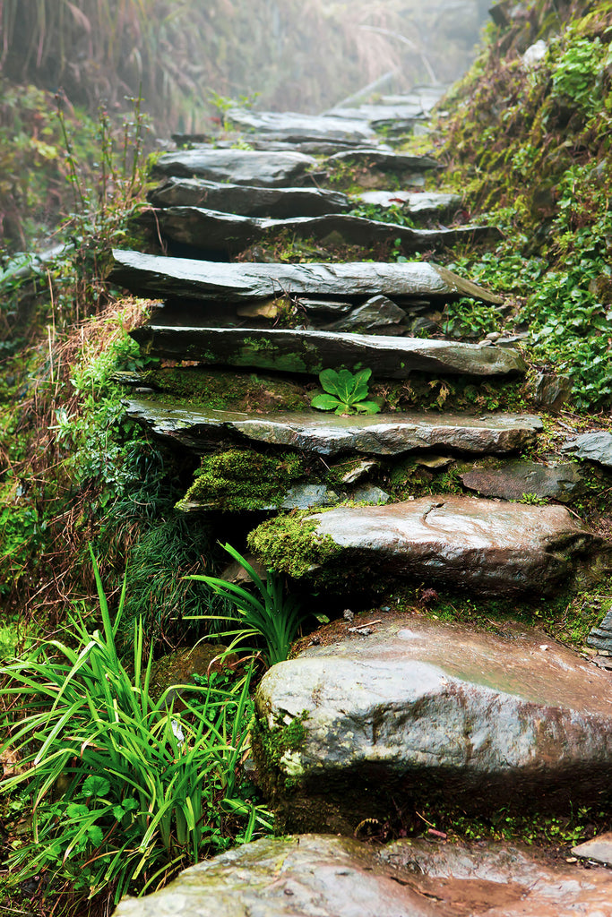 Natur Fotografie von einer natürlichen Stein Treppe im Regen im Hochformat. Fotokunst und Bilder online kaufen. Wandbild hinter Acrylglas oder als Poster