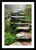 Natur Fotografie von einer natürlichen Stein Treppe im Regen im Hochformat. Fotokunst und Bilder online kaufen. Wandbild im Rahmen