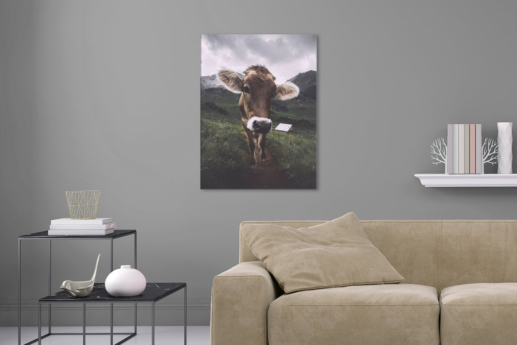 Aufgehängte Tier Fotografie von einer neugierigen Kuh auf einer Alm in den Bergen im Hochformat. Fotokunst und Bilder online kaufen. Wandbild hinter Acrylglas oder als Poster