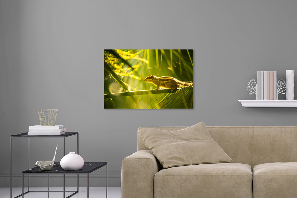 Aufgehängte Natur Tier Fotografie von einem Streifenhörnchen auf einem Ast. Fotokunst und Bilder online kaufen. Wandbild hinter Acrylglas oder als Poster