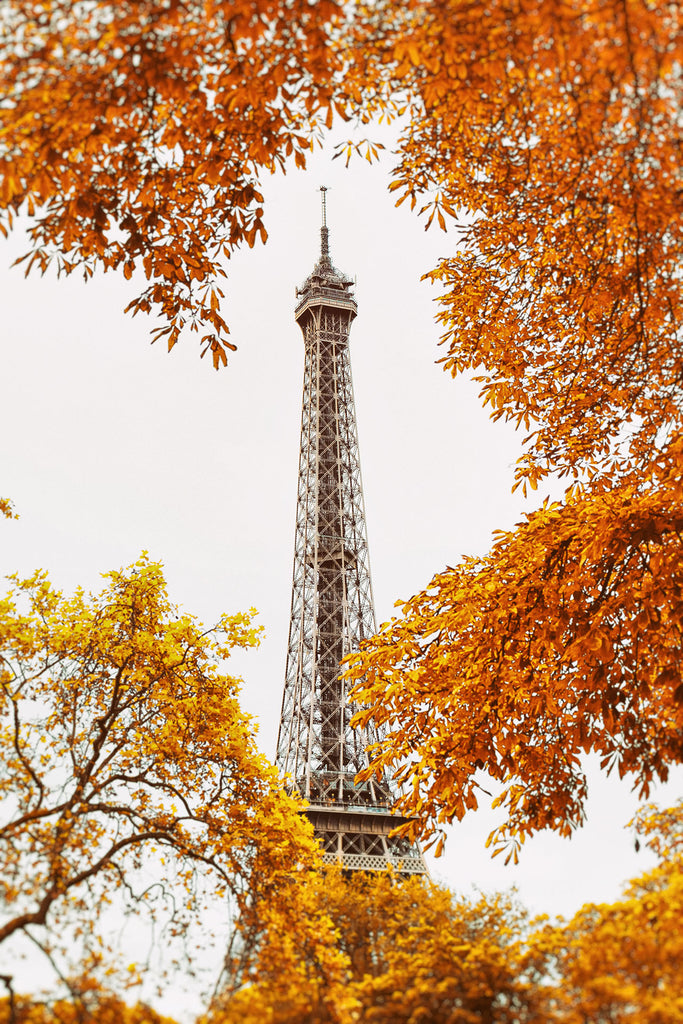 Architektur Fotografie vom Eiffelturm mit Bäumen im Vordergrund im Herbst im Hochformat. Fotokunst und Bilder online kaufen. Wandbild hinter Acrylglas oder als Poster 
