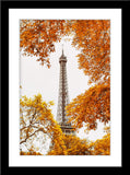Architektur Fotografie vom Eiffelturm mit Bäumen im Vordergrund im Herbst im Hochformat. Fotokunst und Bilder online kaufen. Wandbild im Rahmen