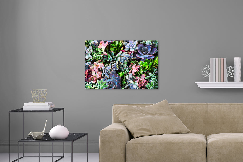 Aufgehängte Natur Fotografie von farbigen Pflanzen im Querformat. Fotokunst und Bilder online kaufen. Wandbild hinter Acrylglas oder als Poster