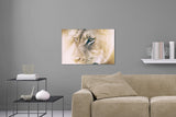 Aufgehängte Tier Fotografie vom Gesicht einer Löwin. Fotokunst und Bilder online kaufen. Wandbild hinter Acrylglas oder als Poster