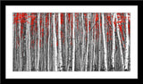 Natur Landschafts Fotografie von einem Birkenwald mit roten Blättern im Panorama Format. Fotokunst und Bilder online kaufen. Wandbild im Rahmen