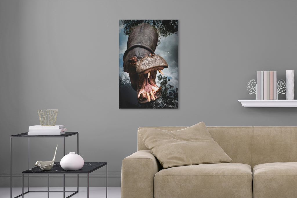 Aufgehängte Tier Fotografie von einem brüllenden Flusspferd, Nilpferd im Wasser im Hochformat. Fotokunst und Bilder online kaufen. Wandbild hinter Acrylglas oder als Poster
