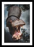 Tier Fotografie von einem brüllenden Flusspferd, Nilpferd im Wasser im Hochformat. Fotokunst und Bilder online kaufen. Wandbild im Rahmen