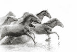 Schwarz-Weiß Tier Fotografie von durch Wasser galoppierenden Pferden. Fotokunst und Bilder online kaufen. Wandbild hinter Acrylglas oder als Poster