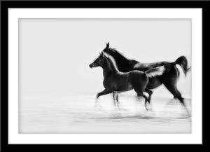 Abstrakte Schwarz-Weiß Tier Fotografie von einem Pferd und einem Fohlen. Fotokunst und Bilder online kaufen. Wandbild im Rahmen