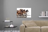 Aufgehängte Tier Fotografie von einer Herde Pferde die durchs Wasser laufen. Fotokunst und Bilder online kaufen. Wandbild hinter Acrylglas oder als Poster