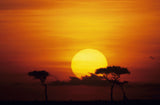 Natur Landschafts Fotografie eines Sonnenaufgangs in der Savanne in Afrika. Fotokunst und Bilder online kaufen. Wandbild hinter Acrylglas oder als Poster