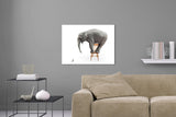 Aufgehängte Abstrakte Tier Fotografie Komposing von einem Elefanten auf einem Stuhl der sich vor einer Maus fürchtet. Fotokunst und Bilder online kaufen. Wandbild hinter Acrylglas oder als Poster