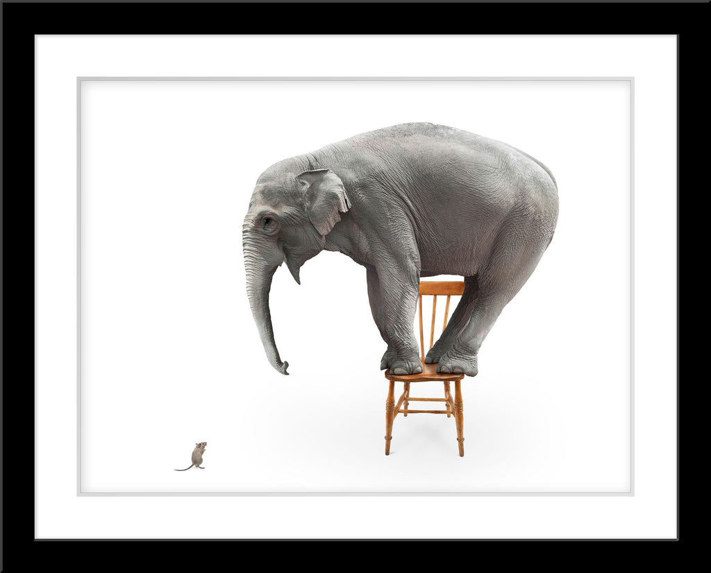 Abstrakte Tier Fotografie Komposing von einem Elefanten auf einem Stuhl der sich vor einer Maus fürchtet. Fotokunst und Bilder online kaufen. Wandbild im Rahmen