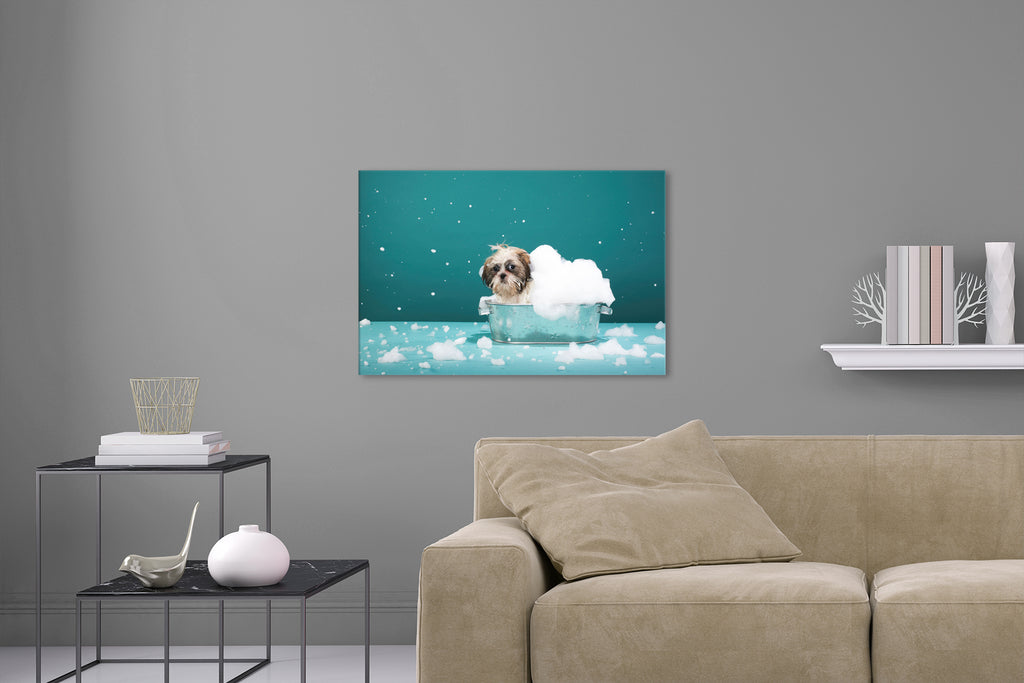 Aufgehängte Tier Fotografie von einem Hund in einer kleinen Badewanne mit Schaum. Fotokunst und Bilder online kaufen. Wandbild hinter Acrylglas oder als Poster