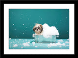Tier Fotografie von einem Hund in einer kleinen Badewanne mit Schaum. Fotokunst und Bilder online kaufen. Wandbild im Rahmen