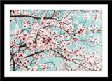 Natur Fotografie von einem blühenden spanischen Mandelbaum. Fotokunst und Bilder online kaufen. Wandbild im Rahmen