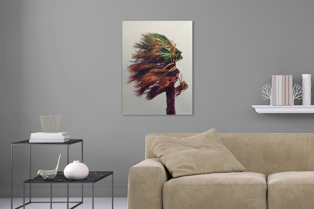 Aufgehängte Natur Fotografie von einer Palme in einem Sturm im Hochformat. Fotokunst und Bilder online kaufen. Wandbild hinter Acrylglas oder als Poster