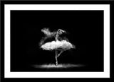 Schwarz-Weiß People Fotografie von einer Ballerina mit Pulver. Fotokunst und Bilder online kaufen. Wandbild im Rahmen