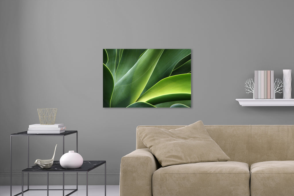 Aufgehängte Natur Fotografie von einer grünen Pflanze. Fotokunst und Bilder online kaufen. Wandbild hinter Acrylglas oder als Poster