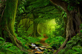 Natur Fotografie von einem dichten grünen Wald mit Fluss und einem Weg. Fotokunst und Bilder online kaufen. Wandbild hinter Acrylglas oder als Poster
