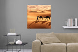 Aufgehängte People Tier Landschafts Fotografie von einem Tuareg und seinen Kamelen in der Wüste im quadratischen Format. Fotokunst und Bilder online kaufen. Wandbild hinter Acrylglas oder als Poster