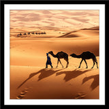People Tier Landschafts Fotografie von einem Tuareg und seinen Kamelen in der Wüste im quadratischen Format. Fotokunst und Bilder online kaufen. Wandbild im Rahmen
