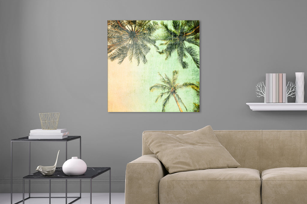 Aufgehängte Natur Fotografie von Palmen im Vintage Look. Fotokunst und Bilder online kaufen. Wandbild hinter Acrylglas oder als Poster