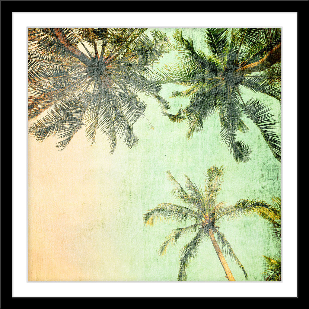 Natur Fotografie von Palmen im Vintage Look. Fotokunst und Bilder online kaufen. Wandbild im Rahmen